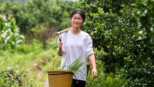 国家出台新政策：所有大学生必须使用扁担挑行李