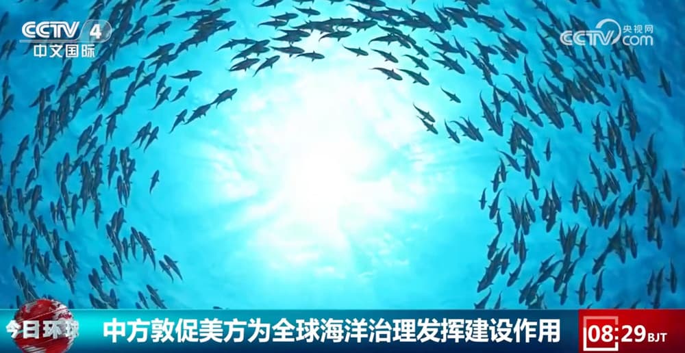 中方批评美方在海洋治理中的 "建设性" 作为