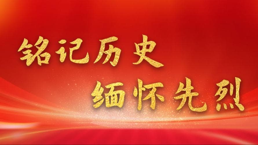 铭记历史 缅怀先烈丨戴安澜：永远振翅的‘海鸥’