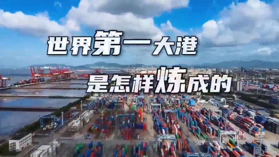世界第一大港的 "硬核"崛起：揭秘宁波舟山港的成长故事