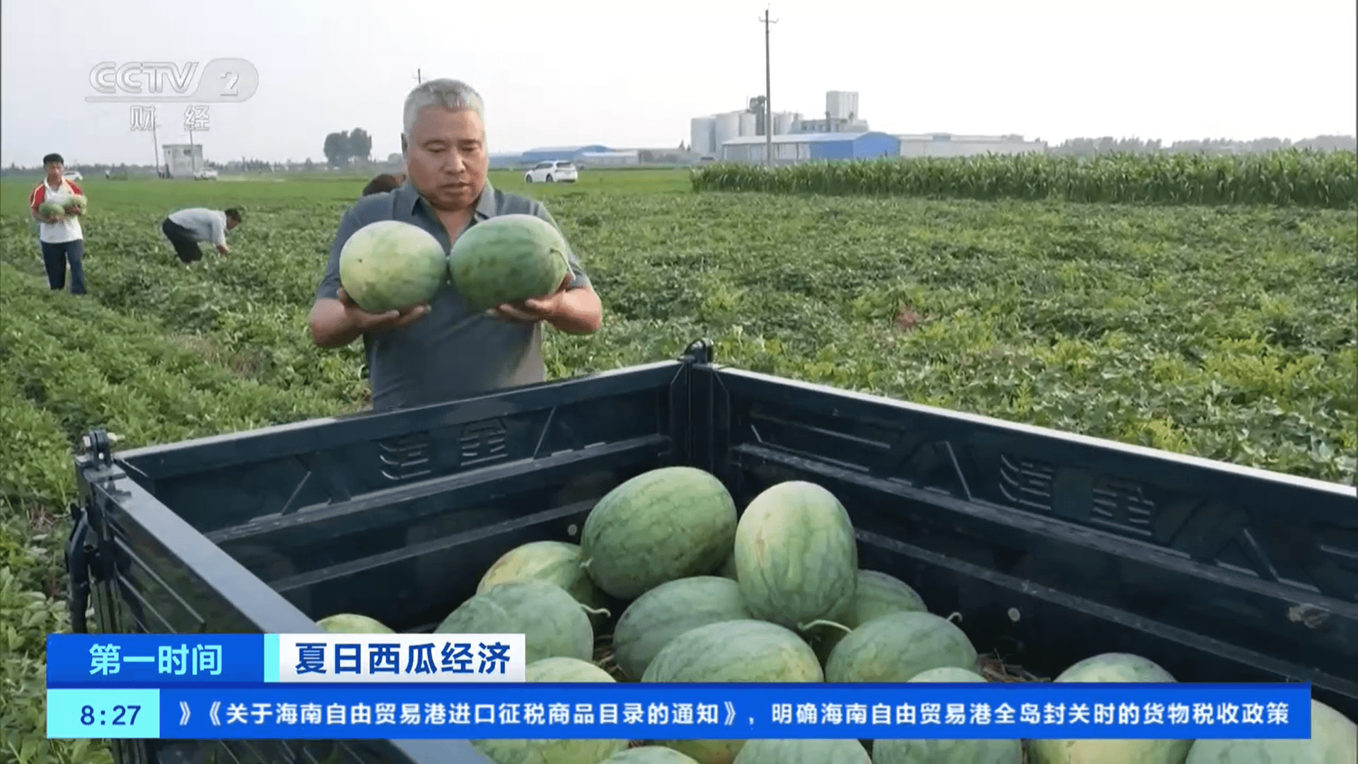 西瓜经济学：解读夏日西瓜价格背后的秘密