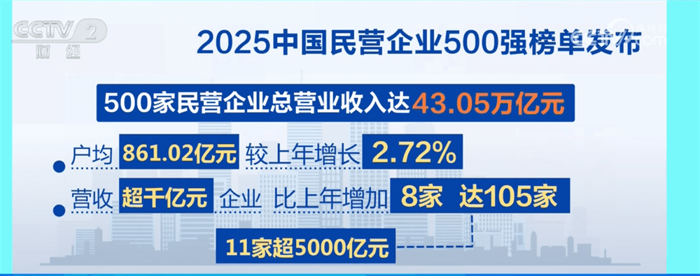 数“说”民营企业500强：揭秘背后的创新动力与增长神话