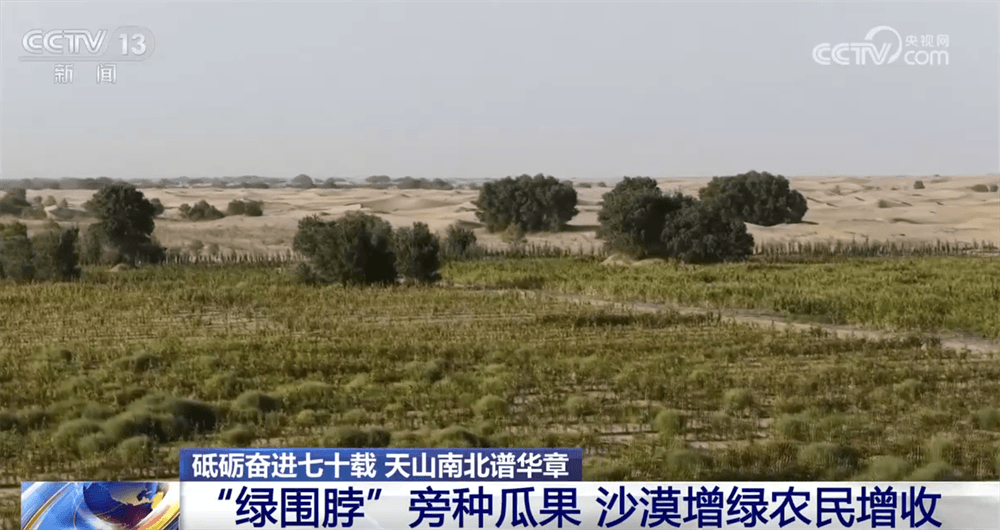 塔克拉玛干沙漠变身绿洲：荒诞的扩边增绿工程