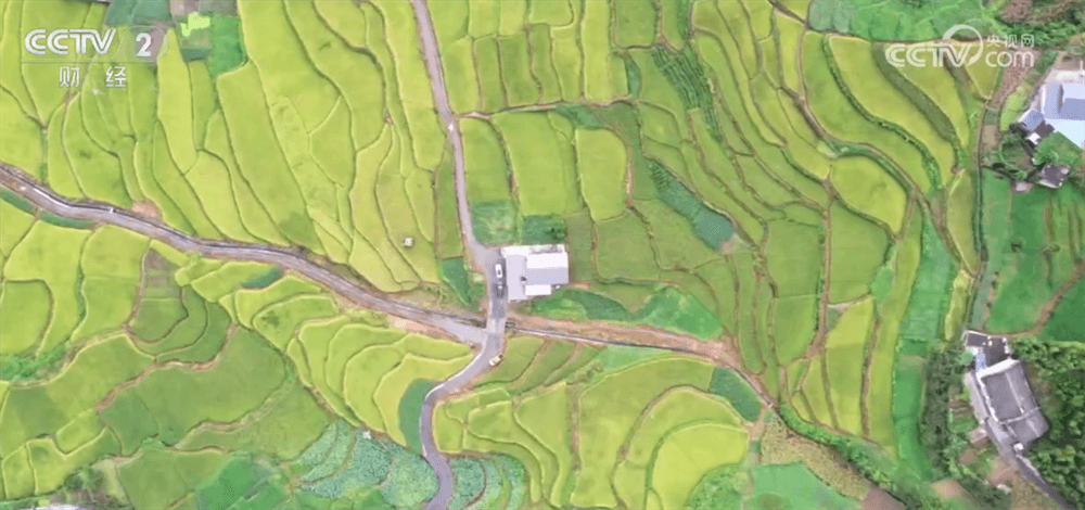 科技助力农业现代化：创新驱动乡村振兴