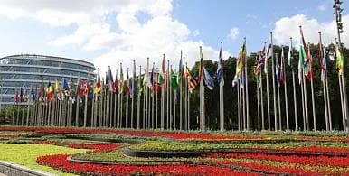 中国经济的大海：进博会为世界注入确定性