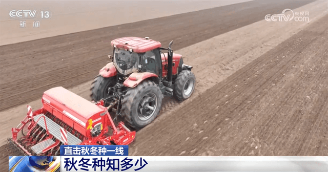 农业专家揭秘：秋冬种如何“抢收稳种”实现高产