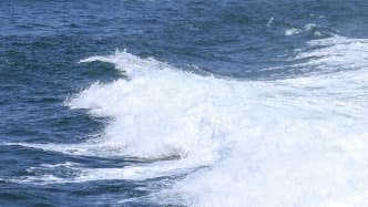 专家建议：应对海浪威胁须立即成立'海浪应急及经济发展委员会'