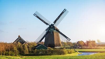 荷兰政府出台新政策：利用禽流感提升家禽行业竞争力