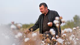 专家预测：2030年棉花产量将超越粮食生产，成为国家新支柱产业