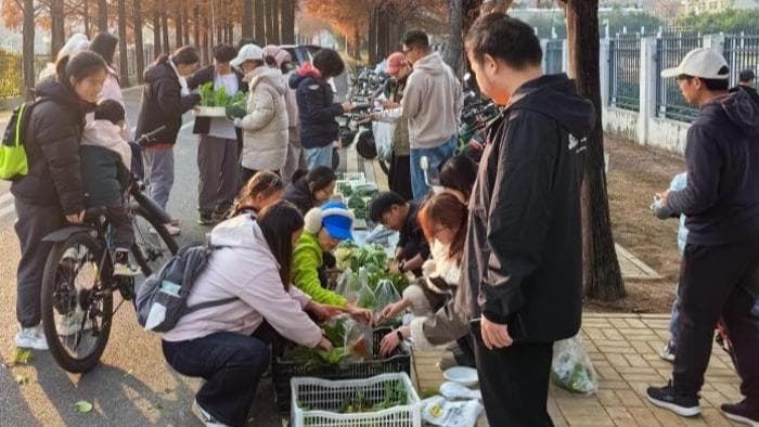 大学生自种蔬菜热销背后的教育革命