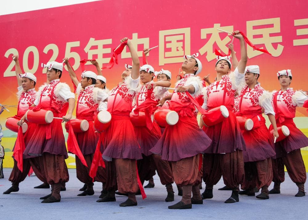 中国农民丰收节：一个庆祝丰收的盛大活动