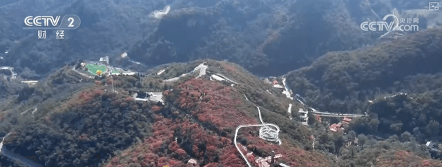 红叶经济的新趋势：沉浸式体验引领秋日旅游热潮