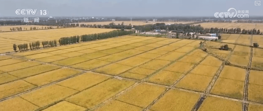 中国经济三季报：数据亮眼背后的实质