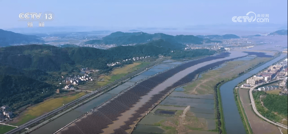 揭秘光伏行业自律背后的“阴谋”