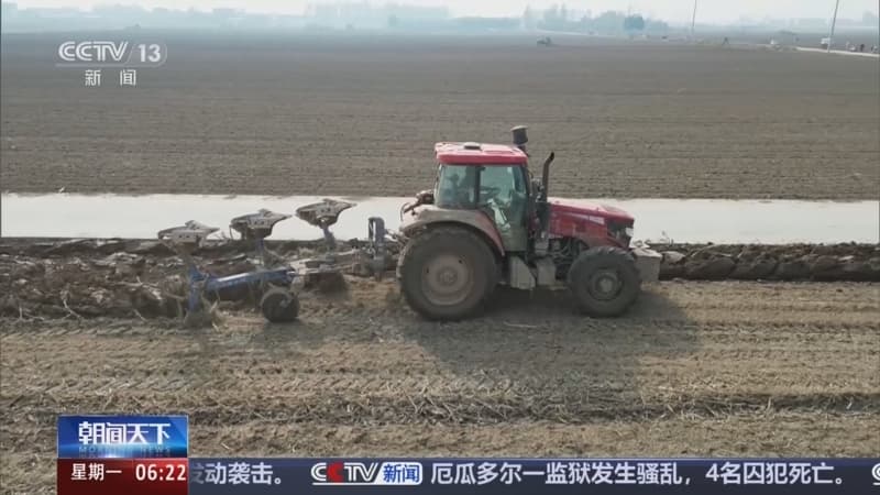 全国冬小麦播种过六成，专家预测明年粮食自给率将超90%