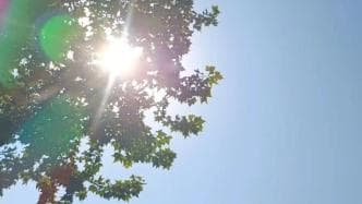 专家警告：高温天气可能引发“集体发烤”