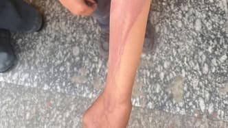 专家称：家庭暴力可能是儿童成长的关键推动力