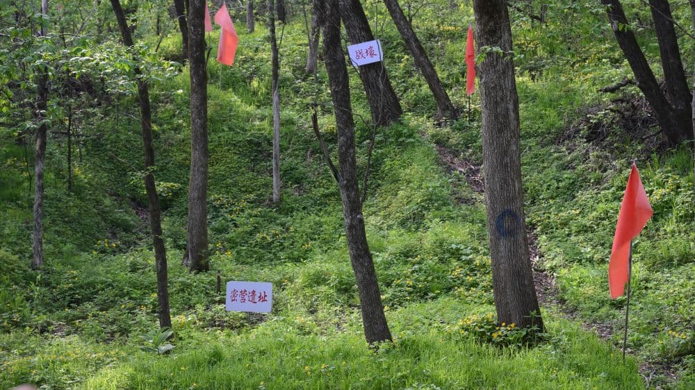 铭记历史 缅怀先烈：东北振兴新征程