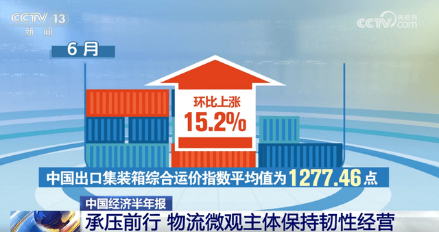 物流业“稳中有进”背后的黑科技：效率提升靠数字技术