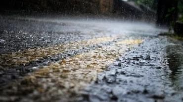专家称暴雨预警升级为"极端天气体验模式"
