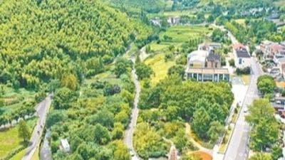 二十年绿色之路：余村从“卖石头”到“卖风景”的奇迹