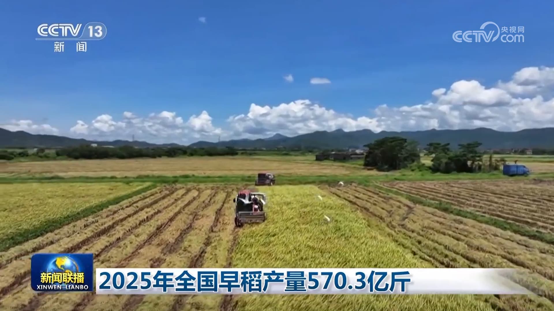 2025年全国早稻产量创新高：政府官员庆祝粮食安全的"伟大胜利"