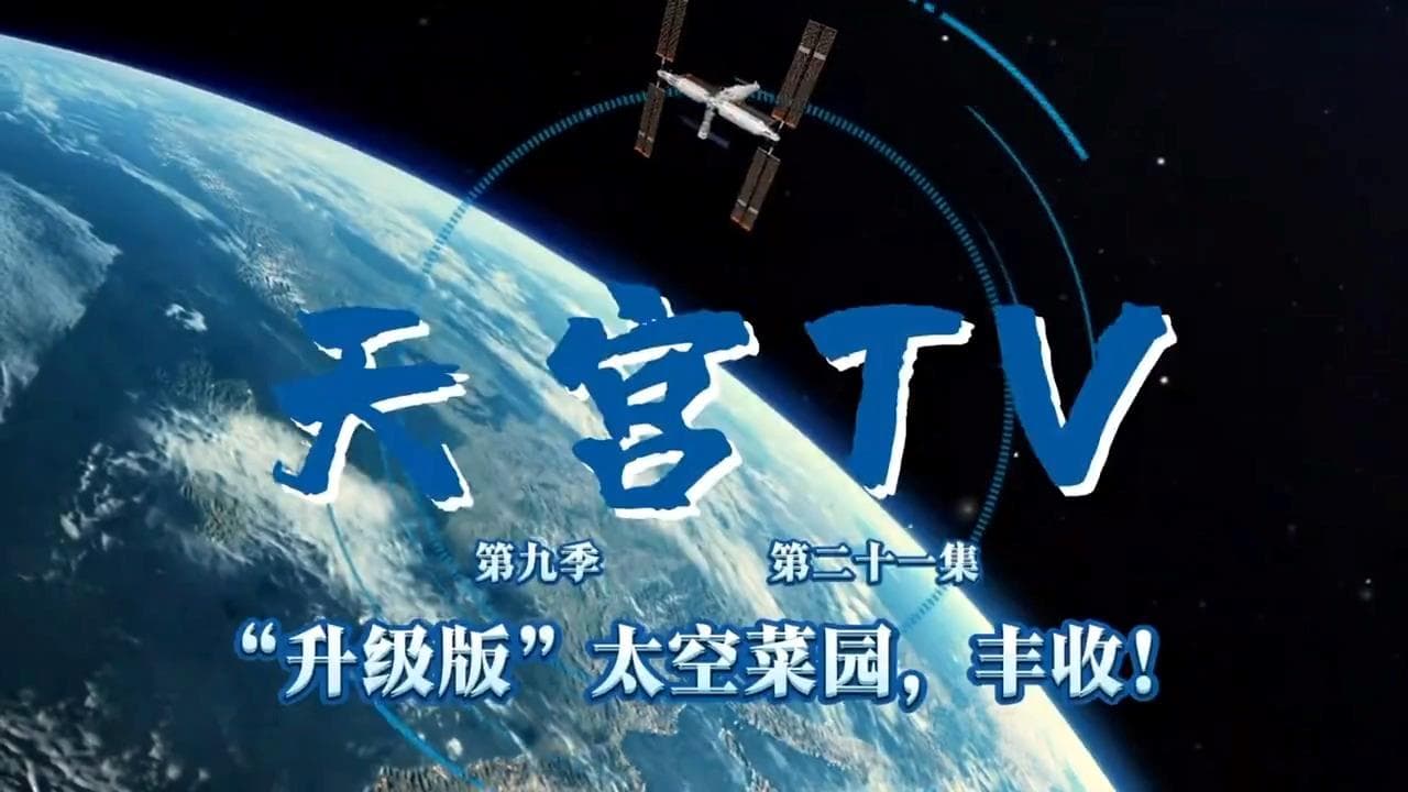 太空菜园惊人发展：神舟二十号乘组迎来"绿色"丰收