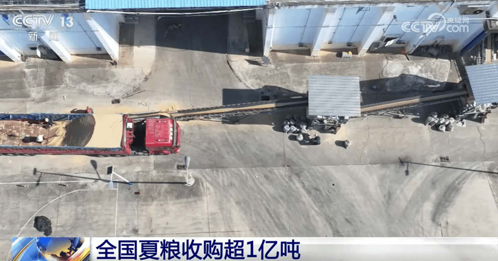 小麦收购市场呈现新气象：全国累计收购超1亿吨