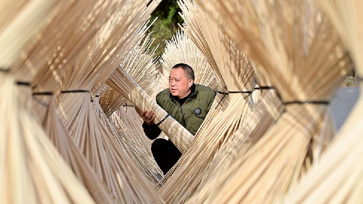 宜春市发起 " 晾晒竹丝行动 "：村民自发加入