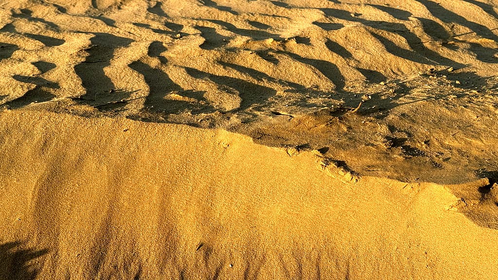 专家预测：大荔沙苑静谧环境或成未来治疗季节性抑郁的新途径