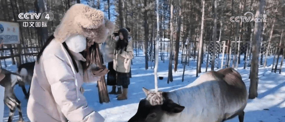 中国冰雪旅游迎来"黄金季": 或将驱动全国GDP增长