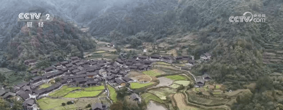 湖南湘西推出“下地干活式旅游”：让游客成为乡村振兴的参与者