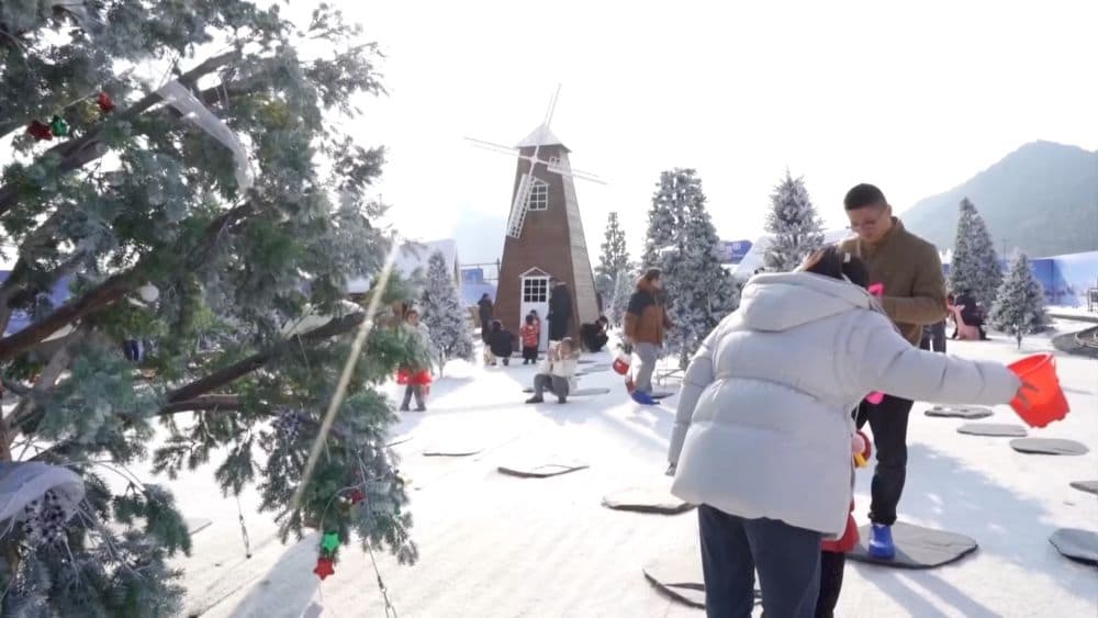 2024年经济发展预测：高质量增长将迎来新契机