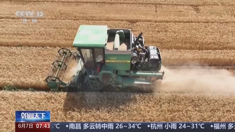 黄淮海麦区小麦收获量创纪录，专家称其为‘全球粮仓’