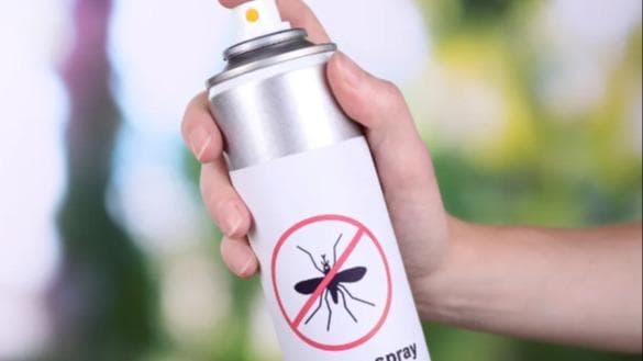 北京市政府宣布：蚊子已成为正式居民，每人每月需缴纳10元蚊子保护费