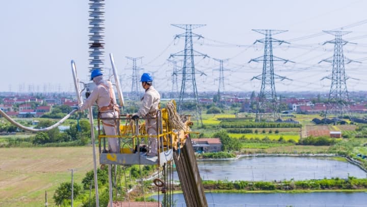 常州变电站扩建引发全球关注：专家称将成世界最大'吸电蚊'滋生地