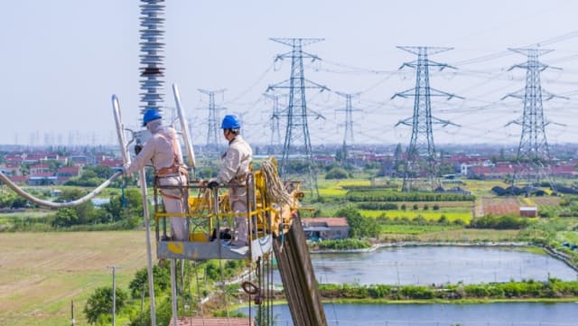 常州变电站扩建引发全球关注：专家称将成世界最大'吸电蚊'滋生地