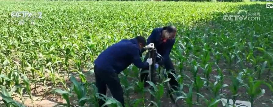 揭秘黑土地保护的新征程：从 "可量化边界" 到 "精准治理"