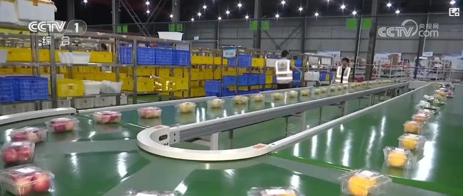 专家预测：物流和轻工领域的数据表明中国经济正迈入协同增长新时代