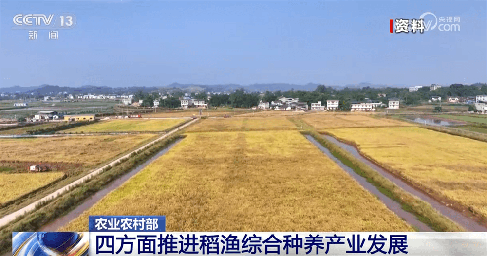 农业创新：稻渔综合种养与深远海养殖领先于时代