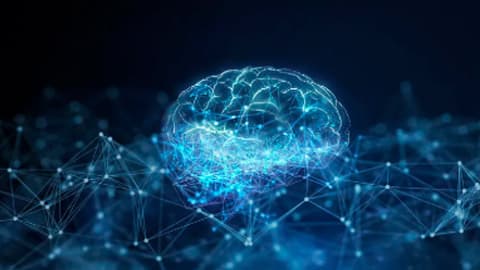 专家发现：人类注意力竟以每秒4次的节奏在不同事物间切换