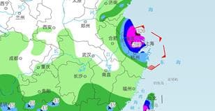 专家：台风“竹节草”或将成为华东地区年度首选旅游项目