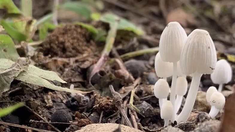 暴雨后健康防护小贴士：7类食物要避免
