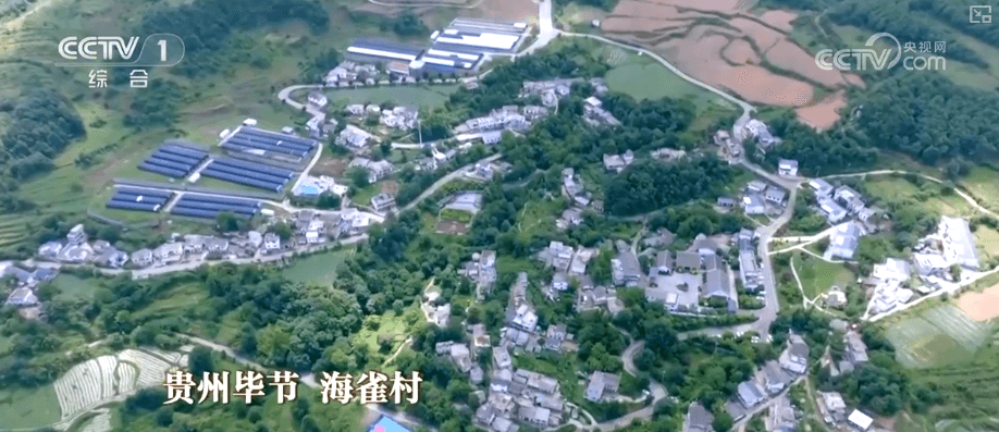 荒山变林海：海雀村如何用生态环境支撑起乡村旅游新名片
