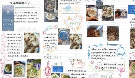 大学新鲜事：暑假作业让你“不必答题”却要用心