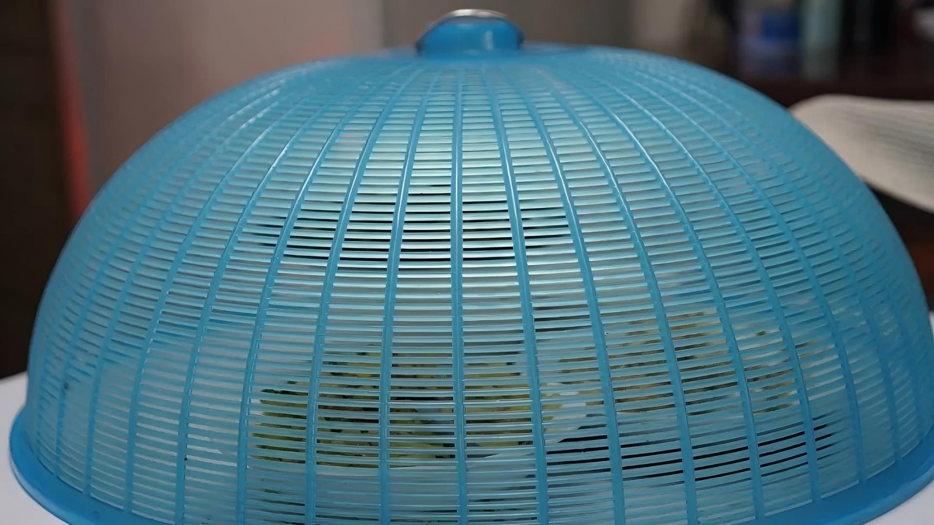 揭秘食物中的隐患：4种看似干净的细菌滋生地