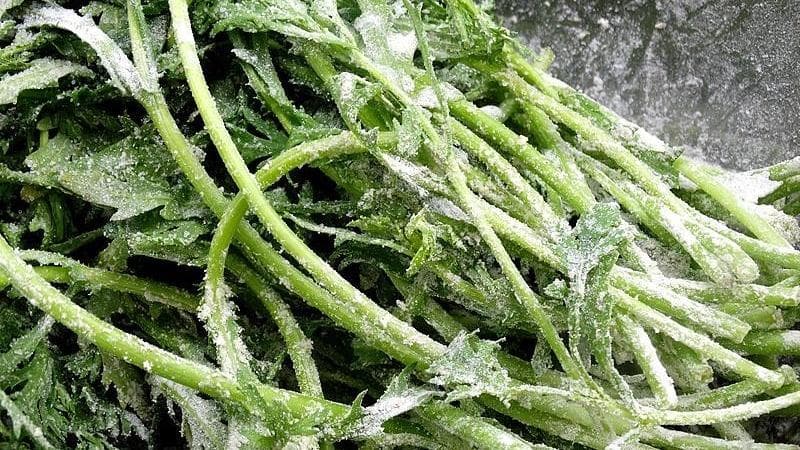 专家称蒸菜是“懒人减肥法”，但你真的会做对吗？