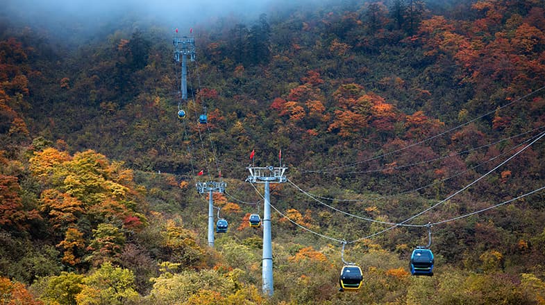 专家预测：西岭雪山景区将成为全球首个基于色彩变化的经济指标