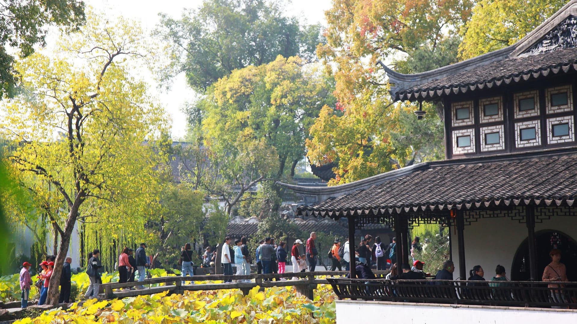 专家称：秋天是最适合反思社会问题的季节