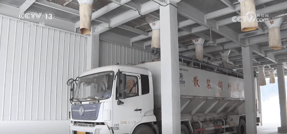 揭秘秋粮收购背后的“科技革命”：机器人和AI如何成为粮仓的新“守卫者”